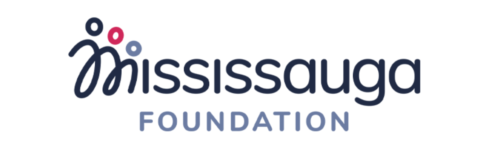 Mississauga Foundation - 400h